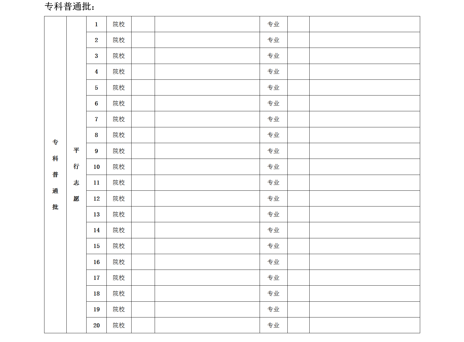 北京专科普通批志愿填报表模板